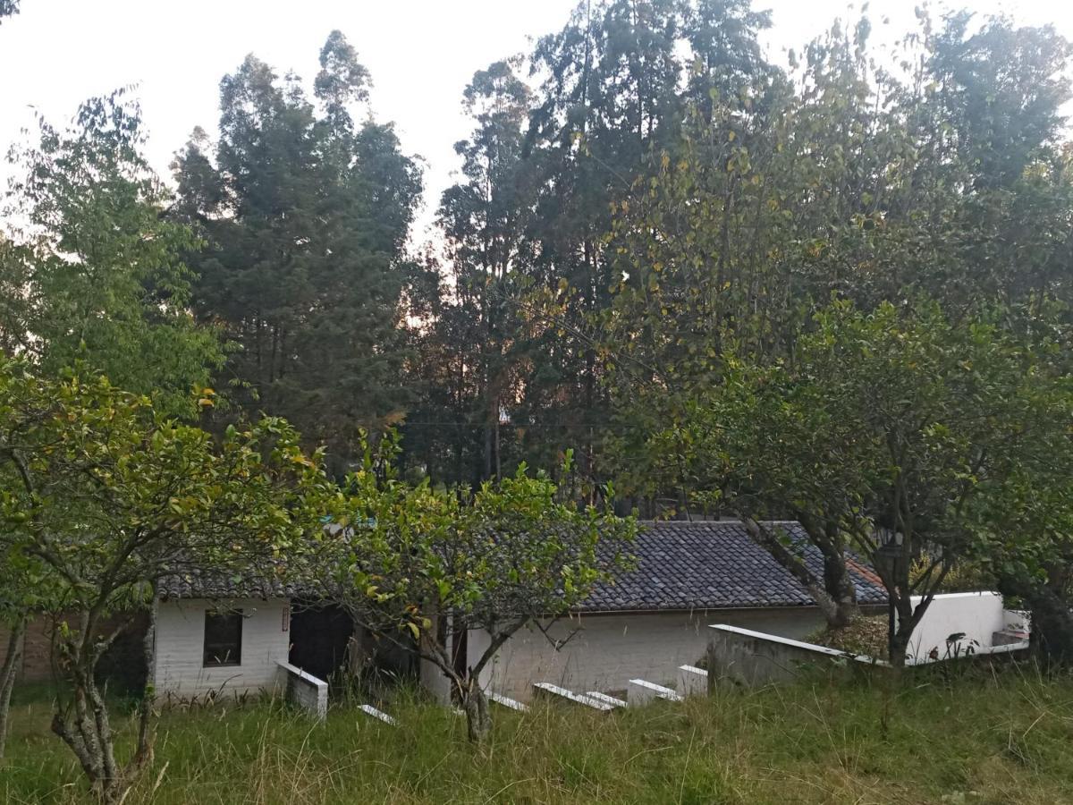 Quinta Los Eucaliptos Ξενοδοχείο Κίτο Εξωτερικό φωτογραφία